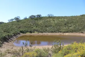 FINCA CINEGETICA EN HUELVA - 1461