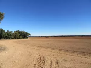 FINCA DE LABOR Y CAZA MENOR EN CIUDAD REAL