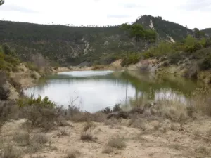 FINCA CINEGETICA EN CUENCA - 1315