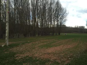 Finca agrícola de 3ha con casa de 200m2