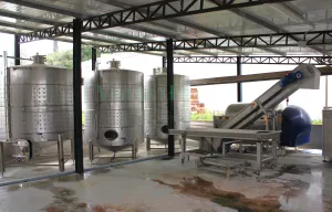 Bodega en venta de vinos naturales