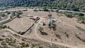 Finca ganadera en Huelva con vivienda y caza
