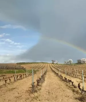 Finca rural con perforación propia