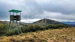 Venta finca de caza con vivienda en Zaragoza