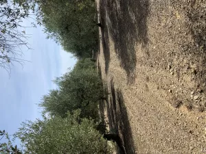 Finca con antigua torre