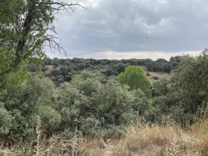 Finca DE 47 hectáreas, con 2 casas en Cuenca