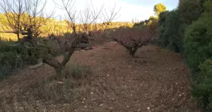 Finca rústica en venta
