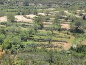 Finca vista mar, pozo y permiso construir