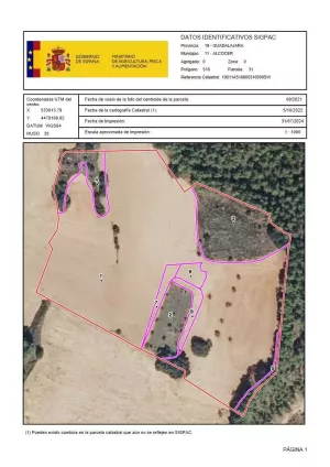 SE VENDE FINCA RÚSTICA EN ALCOCER (GUADALAJAR