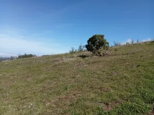 FINCA 31.616 M2 GRAN CANARIA (ISLAS CANARIAS)