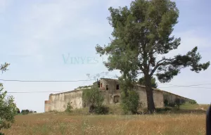 Finca con masia rural y viñedo en Barcelona.