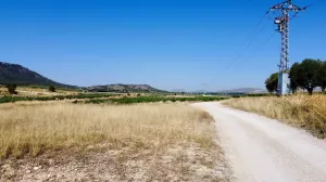 Terreno rústico en venta en Villena, Alicante