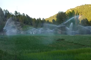 Finca cinegética, agrícola regadío Ref. .1527