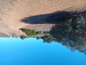 Finca Cinegética y Agrícola