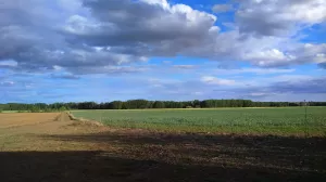 Se vende finca regadío 200 Has