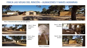 Excelente Finca de 435ha a 15 km de Badajoz