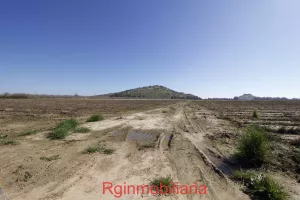 parcela de regadio en venta en Medellin