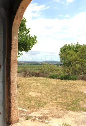 Masia medieval con viñedo en el Penedès