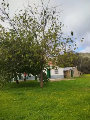 VENTA FINCA EN SIERRA DE ARACENA Y PICOS DE A