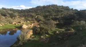 VENTA de 4.500 Has. en AGUDO (CIUDAD REAL)