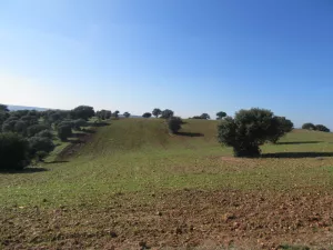 FINCA DE RECREO Y GANADERA EN GUADALAJARA