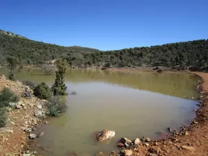 FINCA CINEGETICA EN CIUDAD REAL - 1416