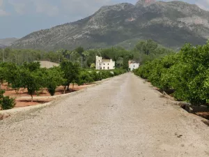 FINCA DE RECREO Y AGRICOLA EN VALENCIA - 1401