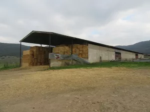 FINCA AGRICOLA Y GANADERA EN BADAJOZ - 1390