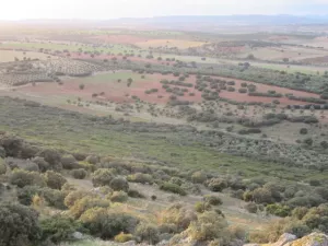 FINCA AGRICOLA, RECREO Y CAZA EN CIUDAD REAL
