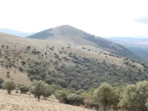 FINCA CINEGETICA EN ZARAGOZA - 1327