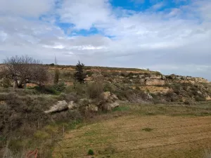 Finca Regadio Caspe Aragon