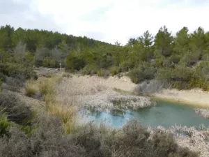 FINCA CINEGETICA EN CUENCA - 1315