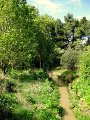 FINCA DE RECREO EN SEGOVIA - 1302