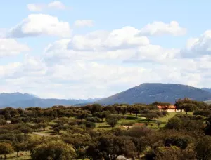 FINCA CON HOTEL DE LUJO EN MONFRAGUE - 1286