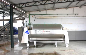 Bodega en venta de vinos naturales