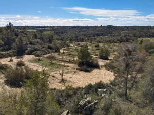 Finca Rustica Fabara Locatión