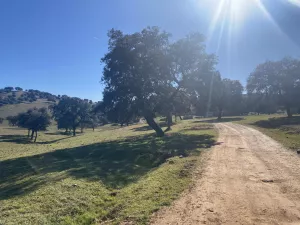 OPORTUNIDAD FINCA GANADERA DE 440has