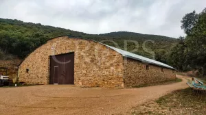 Venta finca de caza con vivienda en Zaragoza