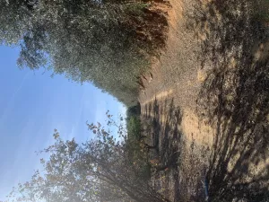 Finca con antigua torre