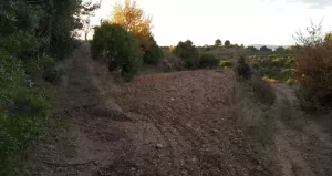 Finca rústica en venta