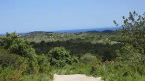 Finca vista mar, pozo y permiso construir