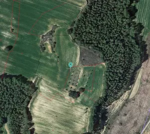 SE VENDE FINCA RÚSTICA EN ALCOCER (GUADALAJAR