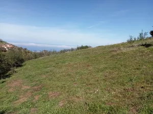 FINCA 31.616 M2 GRAN CANARIA (ISLAS CANARIAS)