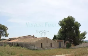 Finca con masia rural y viñedo en Barcelona.