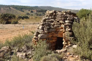 Finca de caza y recreo en Albacete Ref. 1523