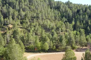 Finca cinegética, agrícola regadío Ref. .1527