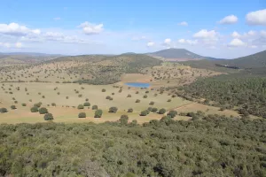 Espectacular finca en Toledo Ref. 1528