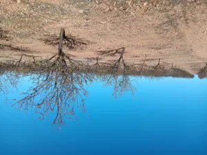 Finca Cinegética y Agrícola