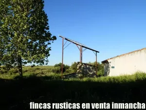 finca en venta 28 has. olivar regadío