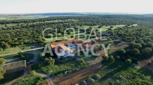 800 ha Río Naveg, Cortijo Lujo Caza Mayor